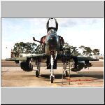 Kiwi-A4-06.jpg