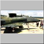 Kiwi-A4-15.jpg