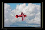 Mottys-Pitts-Special-VH-UDP_2009_03_21_8342-LR-1-001