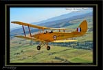 Mottys-Tigermoth-VH-BNI_20070414_2401-LR-1-001