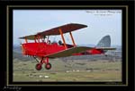 Mottys-Tigermoth-VH-ZUP_20070414_2371-LR-1-001