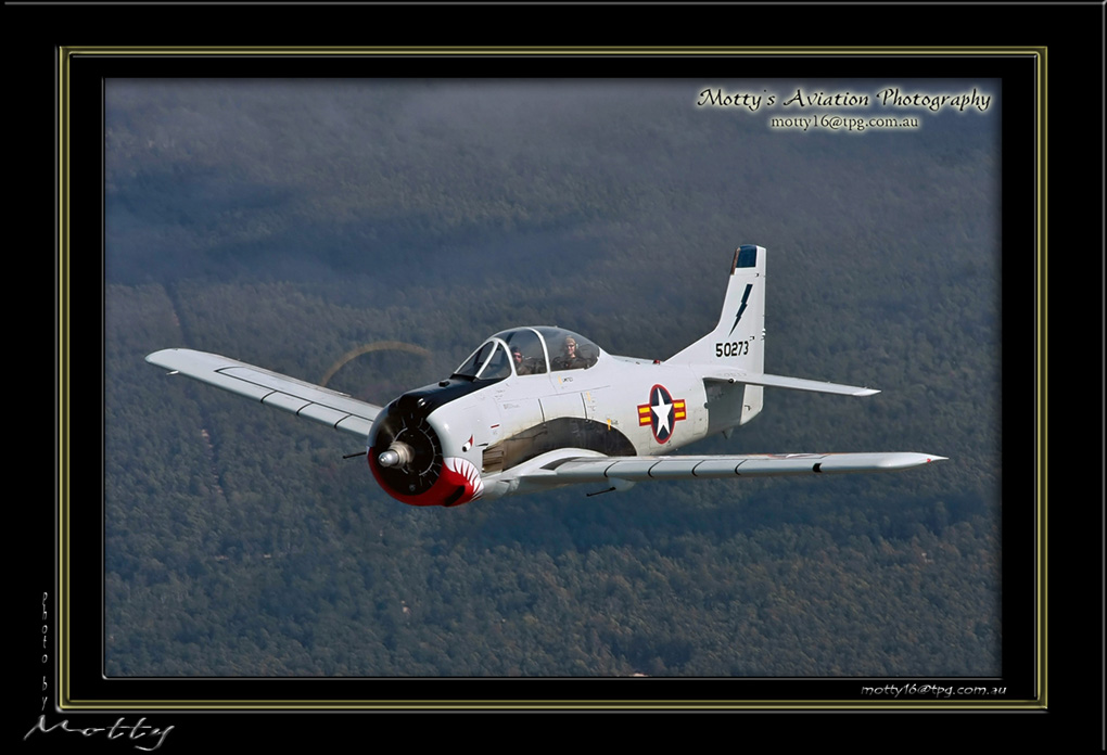 Mottys-Photo_2008_08_30_820-LR-002