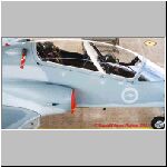 Canopy-01-01.jpg