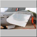 LH-Tail-03-01.jpg