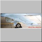 LH-Wing-01-01.jpg