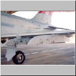 Motty's-Hawk-A27-01-24-01.jpg