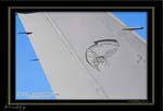 Mottys-Singaporean-F-16D-Blk52+-2008_10_04-021