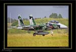 Mottys-Aggressor-F-15-091_2007_10_04_2840-LR-web