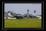 Mottys-Aggressor-F-15-091_2007_10_04_2852-LR-web