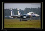 Mottys-Aggressor-F-15-092_2007_10_03_1565-LR-web