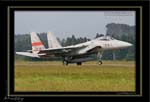 Mottys-Aggressor-F-15-878_2007_10_03_1337-LR-web