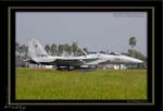 Mottys-F-15-078_2007_10_04_2942-LR-web