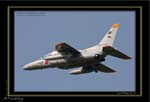 Mottys-T-4-749_2007_10_03_1461-LR-web
