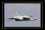 Mottys-T-4-749_2007_10_04_9999_200-LR-web
