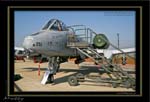 Mottys-OSAN-A-10-08_2007_10_07_1196-LR-1