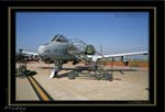 Mottys-OSAN-A-10-09_2007_10_07_1195-LR-1