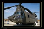 Mottys-Chinook-04_2007_10_06_1855-LR