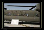 Mottys-Chinook-08_2007_10_06_1857-LR
