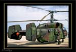 Mottys-ROKAF-KA32-02_2007_10_06_1820-LR