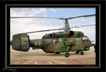 Mottys-ROKAF-KA32-04_2007_10_06_279-LR