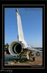 Mottys-ROKAF-F-16D-Details-17_2007_10_06_1979-LR