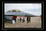 Mottys-ROKAF-F-16D-Details-27_2007_10_06_43-LR
