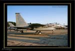 Mottys-ZZ-F-15C-3039-09_2007_10_06_2057-LR-2