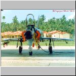 Turtle-Mirage-096-02.jpg