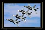 Mottys-Hormet-Purple-Cobras_2008_10_05_9999_1608-LR-1-001