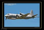 Mottys-Orion-A9-757_2008_10_04_9780-LR-1-001