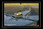 Mottys-Avenger-EMP-055-VH-MML_2009_08_25_072047-LR