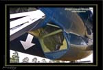 Mottys-Avenger-Fuse-045-VH-MML_2009_08_25_065721-LR