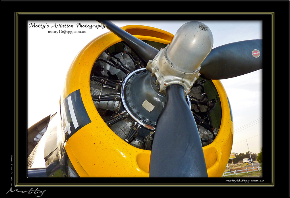 Mottys-Avenger-EN-040-VH-MML_2009_08_25_070359-LR
