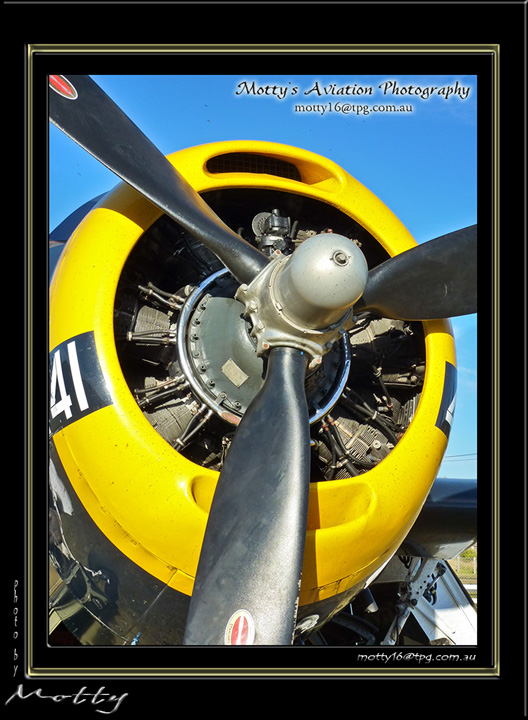 Mottys-Avenger-EN-045-VH-MML_2009_08_25_160042-LR