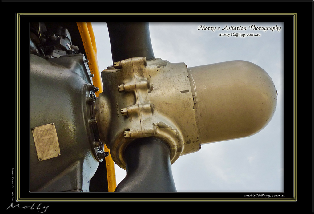 Mottys-Avenger-EN-050-VH-MML_2009_08_25_072128-LR