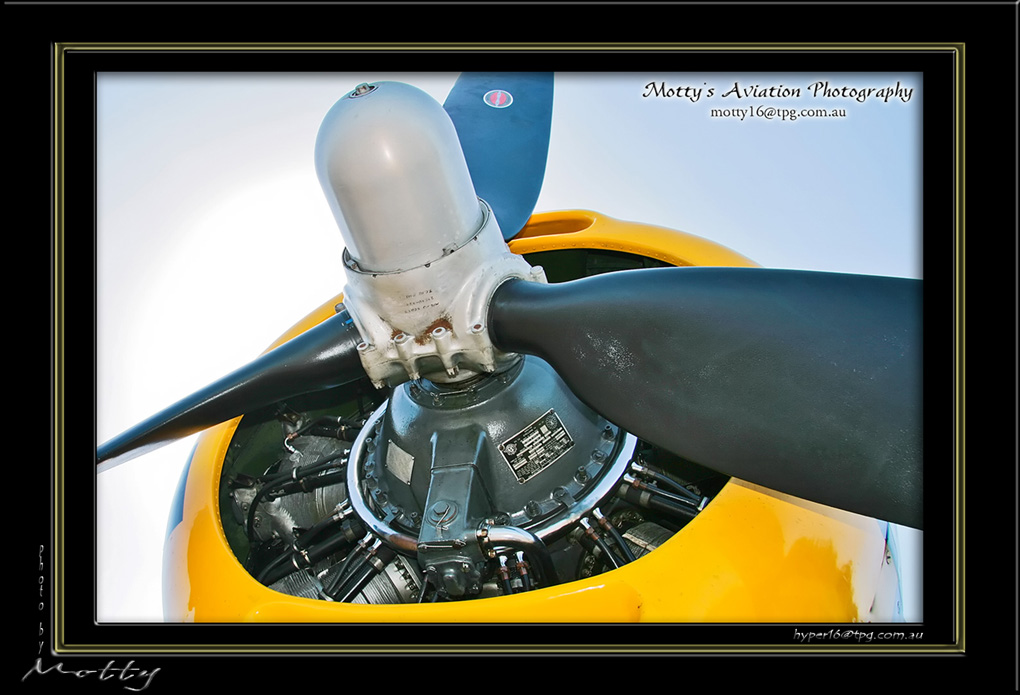 Mottys-Avenger-EN-080-VH-MML-2009-04-17_8328-LR-1-001