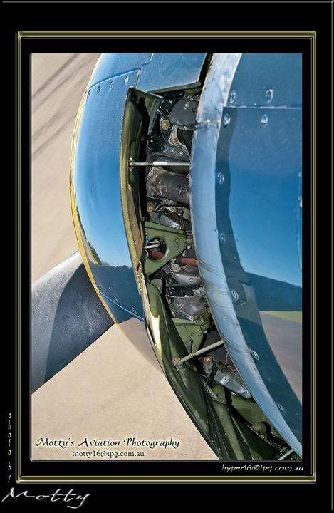 Mottys-Avenger-EN-130-VH-MML-2009-04-17_8470-LR-1-001