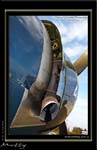 Mottys-Avenger-EN-010-VH-MML_2009_08_25_065554-LR