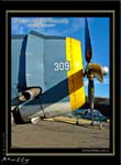 Mottys-Avenger-EN-030-VH-TBM_2009_08_25_152447-LR