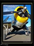 Mottys-Avenger-EN-035-VH-TBM_2009_08_25_152513-LR