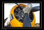Mottys-Avenger-EN-040-VH-MML_2009_08_25_070359-LR