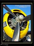 Mottys-Avenger-EN-045-VH-MML_2009_08_25_160042-LR