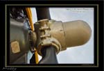 Mottys-Avenger-EN-050-VH-MML_2009_08_25_072128-LR