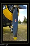 Mottys-Avenger-EN-055-VH-MML_2009_08_25_072140-LR