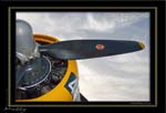 Mottys-Avenger-EN-060-VH-MML_2009_08_25_072155-LR
