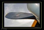 Mottys-Avenger-EN-065-VH-MML_2009_08_25_072219-LR