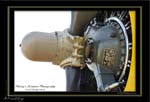 Mottys-Avenger-EN-070-VH-MML_2009_08_25_072118-LR