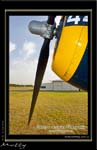 Mottys-Avenger-EN-075-VH-MML_2009_08_25_072245-LR