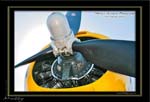 Mottys-Avenger-EN-080-VH-MML-2009-04-17_8328-LR-1-001