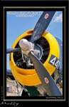 Mottys-Avenger-EN-085-VH-MML-2008_10_25-6031-LR-1-001